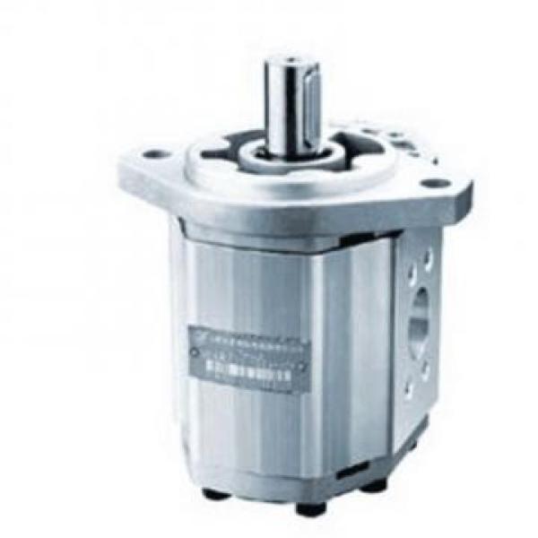 CBW-F310-CFP Hydraulic CBW Series Gear Pump #2 image