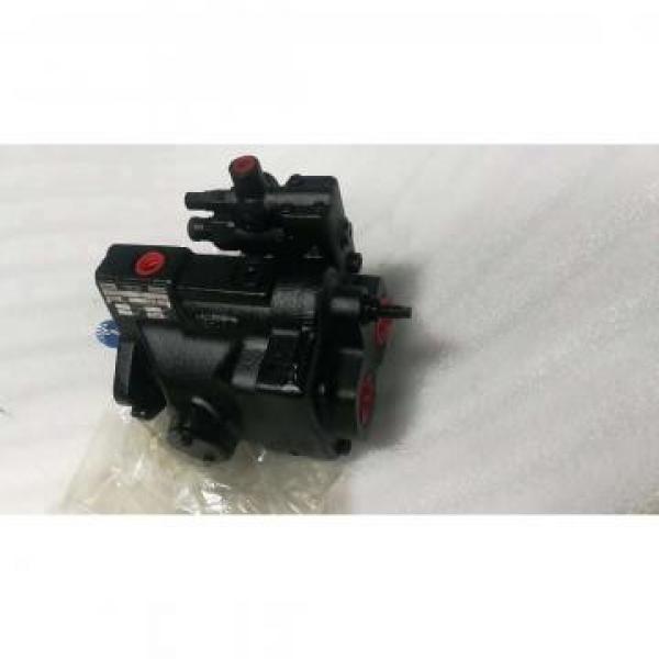 PV29-2R1D-J02 DENISON PV29 series Piston Pump #3 image